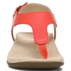 Discount Vionic Terra Sandal Black|Clay|Cream|Lake Blue